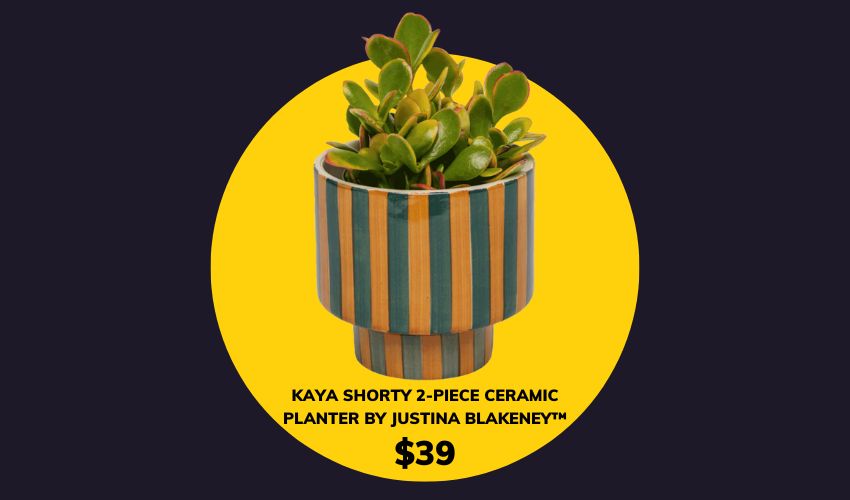 Jungalow | Jungalow.com/ Kaya Shorty 2-Piece Ceramic Planter by Justina Blakeney™ $39. 
