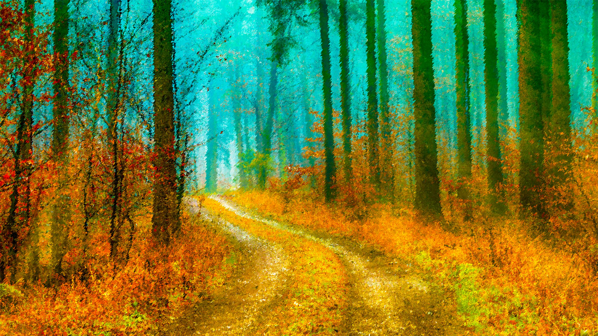 Watercolor illustration of woods with a path in the middle.